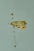  ( - BC MTD 00132)  @12 [ ] Unspecified (default): All Rights Reserved  Unspecified Unspecified