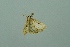  ( - BC MTD 00136)  @12 [ ] Unspecified (default): All Rights Reserved  Unspecified Unspecified