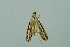  ( - BC MTD 00184)  @13 [ ] Unspecified (default): All Rights Reserved  Unspecified Unspecified