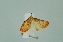  ( - BC MTD 00188)  @13 [ ] Unspecified (default): All Rights Reserved  Unspecified Unspecified