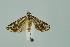  ( - BC MTD 00197)  @13 [ ] Unspecified (default): All Rights Reserved  Unspecified Unspecified