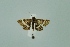  ( - BC MTD 00206)  @11 [ ] Unspecified (default): All Rights Reserved  Unspecified Unspecified