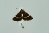  ( - BC MTD 00212)  @12 [ ] Unspecified (default): All Rights Reserved  Unspecified Unspecified