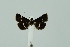  ( - BC MTD 00213)  @14 [ ] Unspecified (default): All Rights Reserved  Unspecified Unspecified