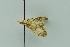  ( - BC MTD 00221)  @12 [ ] Unspecified (default): All Rights Reserved  Unspecified Unspecified