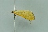  ( - BC MTD 00236)  @12 [ ] Unspecified (default): All Rights Reserved  Unspecified Unspecified