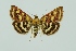  ( - BC MTD 00257)  @11 [ ] Unspecified (default): All Rights Reserved  Unspecified Unspecified