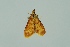  ( - BC MTD 00275)  @13 [ ] Unspecified (default): All Rights Reserved  Unspecified Unspecified