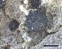  ( - O-F-258318)  @11 [ ] by-nc-sa (2021) Unspecified Norwegian Institute for Nature Research
