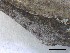  ( - O-F-258296)  @11 [ ] by-nc-sa (2021) Unspecified Norwegian Institute for Nature Research