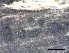  ( - O-F-258295)  @11 [ ] by-nc-sa (2021) Unspecified Norwegian Institute for Nature Research