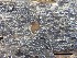 ( - O-F-258264)  @11 [ ] by-nc-sa (2021) Unspecified Norwegian Institute for Nature Research