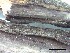  ( - O-F-258258)  @11 [ ] by-nc-sa (2021) Unspecified Norwegian Institute for Nature Research