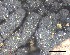  ( - O-F-258309)  @11 [ ] by-nc-sa (2021) Unspecified Norwegian Institute for Nature Research