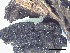  ( - O-F-258287)  @11 [ ] by-nc-sa (2021) Unspecified Norwegian Institute for Nature Research
