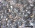  ( - O-F-258287)  @11 [ ] by-nc-sa (2021) Unspecified Norwegian Institute for Nature Research