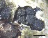  ( - O-F-258257)  @11 [ ] by-nc-sa (2021) Unspecified Norwegian Institute for Nature Research