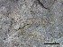  ( - O-L-228335)  @11 [ ] by-nc-sa (2021) Unspecified Norwegian Institute for Nature Research