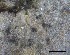 ( - O-L-228335)  @11 [ ] by-nc-sa (2021) Unspecified Norwegian Institute for Nature Research