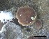  ( - O-L-228336)  @11 [ ] by-nc-sa (2021) Unspecified Norwegian Institute for Nature Research