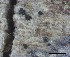  ( - O-F-258303)  @11 [ ] by-nc-sa (2021) Unspecified Norwegian Institute for Nature Research