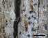  ( - O-L-228349)  @11 [ ] by-nc-sa (2021) Unspecified Norwegian Institute for Nature Research