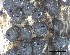  ( - O-F-258283)  @11 [ ] by-nc-sa (2021) Unspecified Norwegian Institute for Nature Research