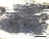  ( - O-F-258281)  @11 [ ] by-nc-sa (2021) Unspecified Norwegian Institute for Nature Research