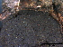 ( - O-F247776)  @11 [ ] CreativeCommons - Attribution Non-Commercial Share-Alike (2013) Teppo Rama Norwegian Institute for Nature Research (NINA)