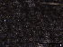  ( - O-F247784)  @11 [ ] CreativeCommons - Attribution Non-Commercial Share-Alike (2013) Teppo Rama Norwegian Institute for Nature Research (NINA)