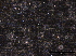 ( - O-F247784)  @11 [ ] CreativeCommons - Attribution Non-Commercial Share-Alike (2013) Teppo Rama Norwegian Institute for Nature Research (NINA)