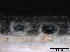  ( - O-F247784)  @11 [ ] CreativeCommons - Attribution Non-Commercial Share-Alike (2013) Teppo Rama Norwegian Institute for Nature Research (NINA)