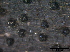  ( - O-F247785)  @11 [ ] CreativeCommons - Attribution Non-Commercial Share-Alike (2013) Teppo Rama Norwegian Institute for Nature Research (NINA)
