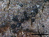  ( - O-F247815)  @11 [ ] CreativeCommons - Attribution Non-Commercial Share-Alike (2013) Teppo Rama Norwegian Institute for Nature Research (NINA)