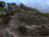  (Capnodium sp - O-F247827)  @11 [ ] CreativeCommons - Attribution Non-Commercial Share-Alike (2013) Teppo Rama Norwegian Institute for Nature Research (NINA)