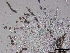  ( - O-F75357)  @11 [ ] CreativeCommons - Attribution Non-Commercial Share-Alike (2013) Teppo Rama Norwegian Institute for Nature Research (NINA)