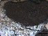  ( - O-F75388)  @11 [ ] CreativeCommons - Attribution Non-Commercial Share-Alike (2013) Teppo Rama Norwegian Institute for Nature Research (NINA)
