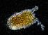  ( - ZHAK-01205)  @11 [ ] CreativeCommons Attribution Non-Commercial No Derivatives (2022) Hakai Institute Hakai Institute