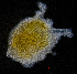  ( - ZHAK-01209)  @11 [ ] CreativeCommons Attribution Non-Commercial No Derivatives (2022) Hakai Institute Hakai Institute