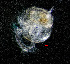  ( - ZHAK-01399)  @11 [ ] CreativeCommons Attribution Non-Commercial No Derivatives (2022) Hakai Institute Hakai Institute