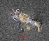  ( - ZHAK-01593)  @11 [ ] CreativeCommons Attribution Non-Commercial No Derivatives (2022) Hakai Institute Hakai Institute