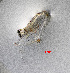  (Heptacarpus stimpsoni - ZHAK-01632)  @11 [ ] CreativeCommons Attribution Non-Commercial No Derivatives (2022) Hakai Institute Hakai Institute