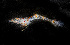  ( - ZHAK-01655)  @11 [ ] CreativeCommons Attribution Non-Commercial No Derivatives (2022) Hakai Institute Hakai Institute