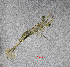  ( - ZHAK-01662)  @11 [ ] CreativeCommons Attribution Non-Commercial No Derivatives (2022) Hakai Institute Hakai Institute