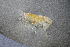  ( - ZHAK-01763)  @11 [ ] CreativeCommons Attribution Non-Commercial No Derivatives (2022) Hakai Institute Hakai Institute