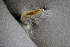  ( - ZHAK-01764)  @11 [ ] CreativeCommons Attribution Non-Commercial No Derivatives (2022) Hakai Institute Hakai Institute