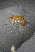  ( - ZHAK-01765)  @11 [ ] CreativeCommons Attribution Non-Commercial No Derivatives (2022) Hakai Institute Hakai Institute