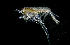  ( - ZHAK-01787)  @11 [ ] CreativeCommons Attribution Non-Commercial No Derivatives (2022) Hakai Institute Hakai Institute