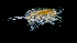  ( - ZHAK-01789)  @11 [ ] CreativeCommons Attribution Non-Commercial No Derivatives (2022) Hakai Institute Hakai Institute
