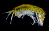  ( - ZHAK-01807)  @11 [ ] CreativeCommons Attribution Non-Commercial No Derivatives (2022) Hakai Institute Hakai Institute